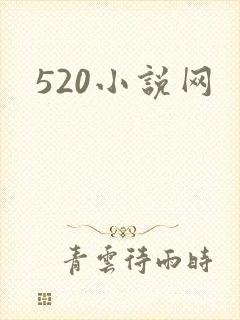 520小说网