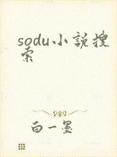 sodu小说搜索