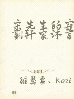 宋先生的宠妻计划轩家沐言