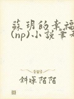 苏玥的幸福生活(np)小说笔趣阁