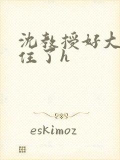 沈教授好大含不住了h