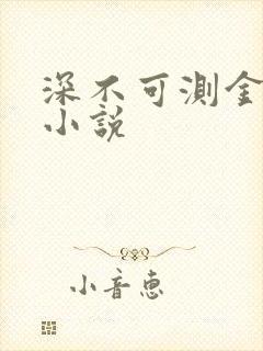 深不可测金银花小说