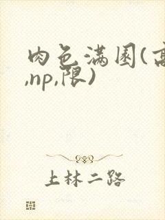 肉色满园(高h,np,限)