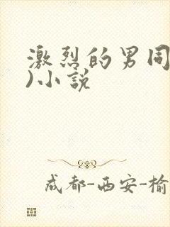 激烈的男同(h)小说