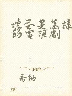 坏蛋是怎样炼成的电视剧