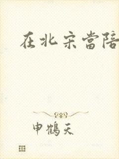 在北宋当陪房