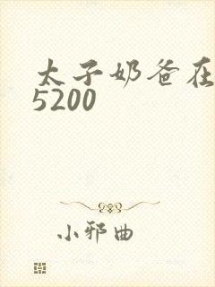 太子奶爸在花都5200