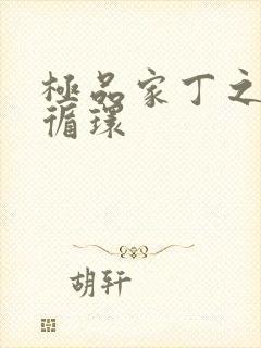 极品家丁之因果循环