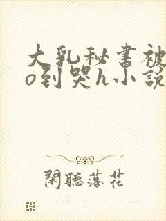 大乳秘书被cao到哭h小说