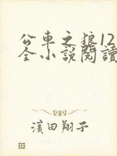 公车之狼12集全小说阅读