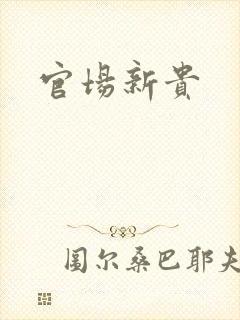 官场新贵