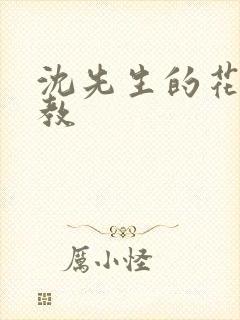 沈先生的花式调教