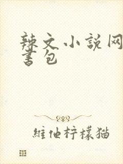 辣文小说网第二书包