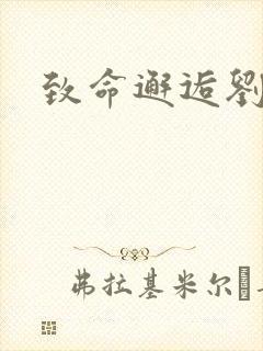 致命邂逅刘小寐