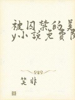 被囚禁的美人by小说免费阅读