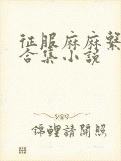 征服麻麻系列大合集小说