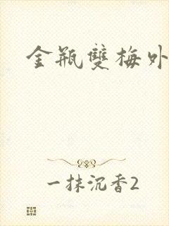 金瓶双梅外传