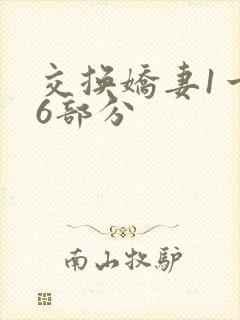 交换娇妻1一36部分