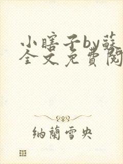 小瞎子by苏软全文免费阅读