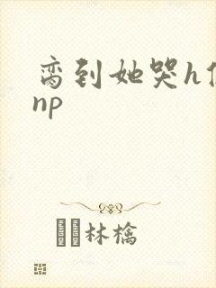 脔到她哭h修仙np