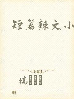 短篇辣文小说