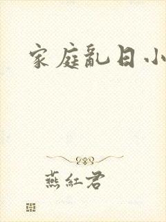 家庭乱日小说