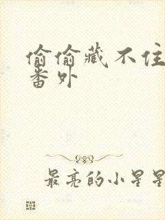 偷偷藏不住新婚番外