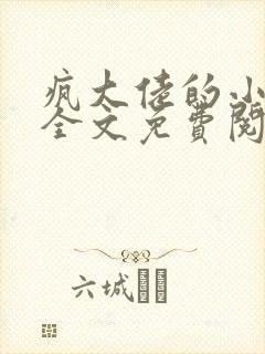 疯大佬的小玩物全文免费阅读小说