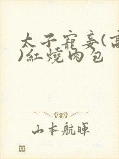太子宠妾(高肉)红烧肉包