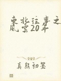 东北往事之黑道风云20年