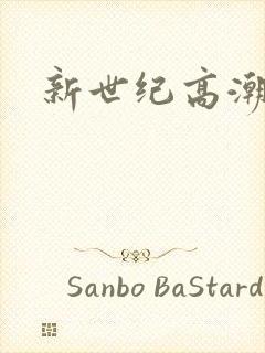 新世纪高潮战队