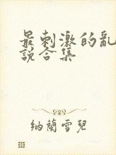 最刺激的乱惀小说合集