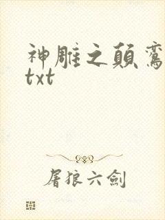 神雕之颠鸾倒凤txt