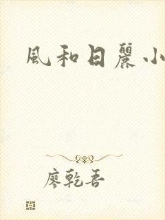 风和日丽小说