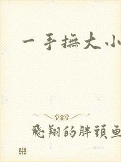一手抚大小说