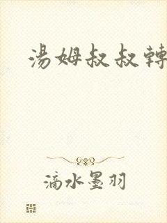 汤姆叔叔转接口