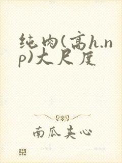纯肉(高h.np)大尺度