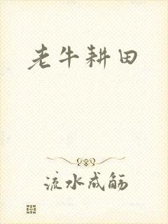 老牛耕田