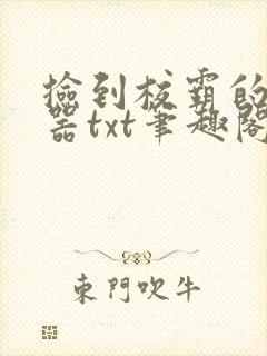 捡到校霸的遥控器txt笔趣阁