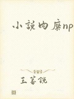 小说肉糜np