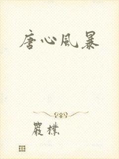 唐心风暴