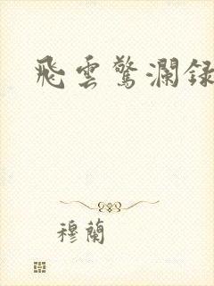 飞云惊澜录
