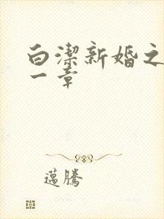 白洁新婚之夜第一章