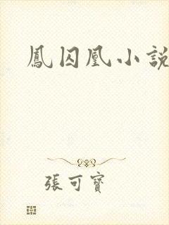 凤囚凰小说