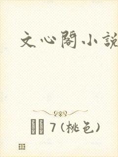 文心阁小说