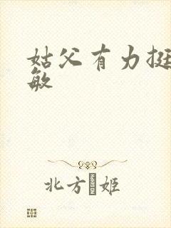 姑父有力挺送赵敏