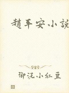 赵平安小说主角