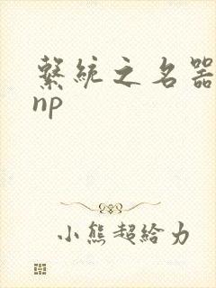 系统之名器攻略np