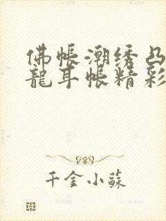 佛帐潮绣凸浮双龙耳帐精彩片段