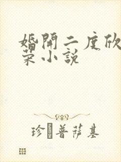 婚开二度欣欣向荣小说
